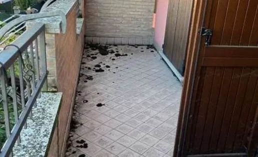 immagine annuncio 13 di 14