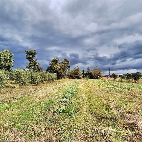 Foto Struttura sanitaria a Piombino di 23081 m² con 1 locali in vendita