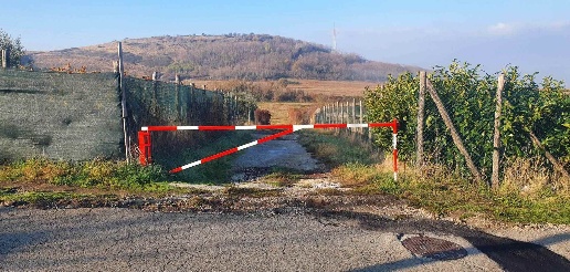Foto Terreno agricolo in VIA FRASCATI SNC, San Cesareo di 4260 m²
