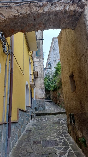 immagine annuncio 3 di 14