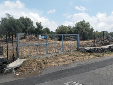 Foto Terreno agricolo in Via Ficarelli SNC, Misterbianco di 7800 m²