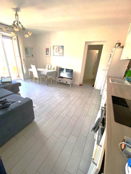 immagine annuncio 3 di 14