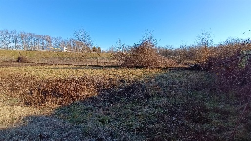 Foto Terreno agricolo a Invorio di 2528 m² in vendita