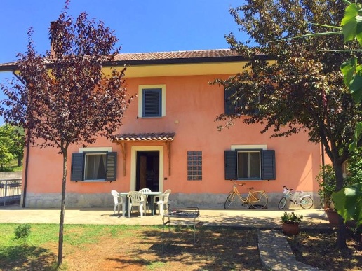 immagine annuncio 1 di 14