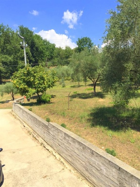 immagine annuncio 2 di 14