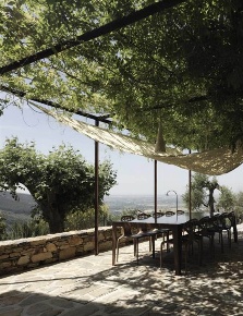 Foto Rustico a Calci di 240 m² con 8 locali in vendita