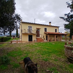 Foto Cessione attività a Grosseto Roselle - Nomadelfia di 425 m² in vendita