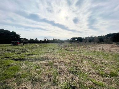 Foto Casa indipendente a Massarosa Massarosa Paese di 250 m² con 12 locali