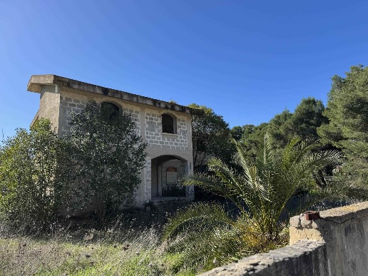 immagine annuncio 4 di 7