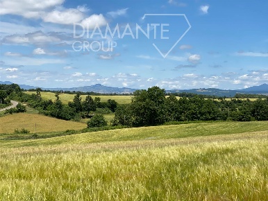 Foto Terreno agricolo a Acquapendente Centro in vendita