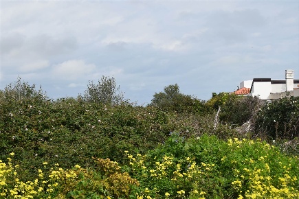Foto Terreno agricolo in Via della Pilosella  45, Catania Primosole