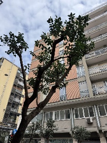 Foto Appartamento a Bari Murat di 110 m² con 3 locali in vendita