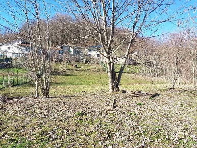 Foto Case semi ndipendenti a Zeri di 290 m² con 14 locali in vendita