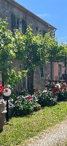 Foto Rustico a Gavorrano Filare Boschetto Miniera di 200 m² con 13 locali