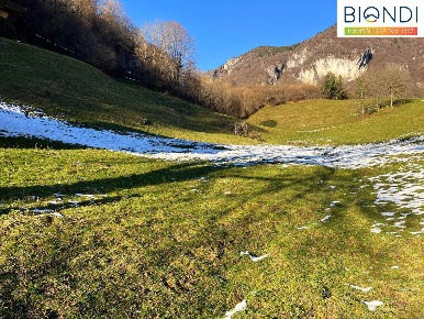 Foto Terreno agricolo in Via Passoni, Cornalba Passoni di 16113 m²
