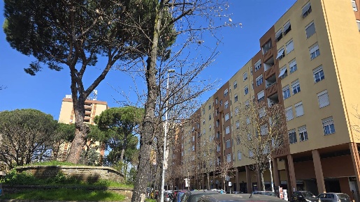 Foto Appartamento in VIA MONTE URANO  47, Roma Fidene di 58 m² con 3 locali
