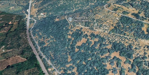 Foto Terreno agricolo in acuto, Acuto di 42300 m² in vendita