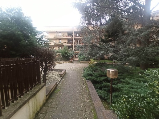 immagine annuncio 3 di 11