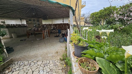 immagine annuncio 6 di 14