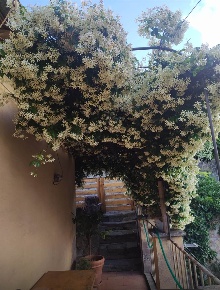 Foto Appartamento a Tuscania di 80 m² con 4 locali in affitto