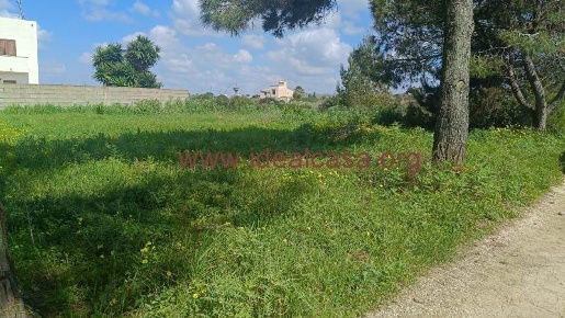 Foto Terreno agricolo a Mazara del Vallo Quarara, Costa Orientale