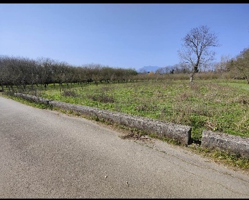 Foto Terreno agricolo a San Michele di Serino di 3050 m² in vendita