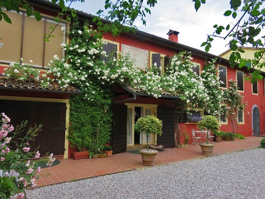 immagine annuncio 7 di 15