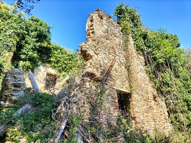 Foto Rustico a Camaiore Capezzano Pianore di 280 m² con 12 locali