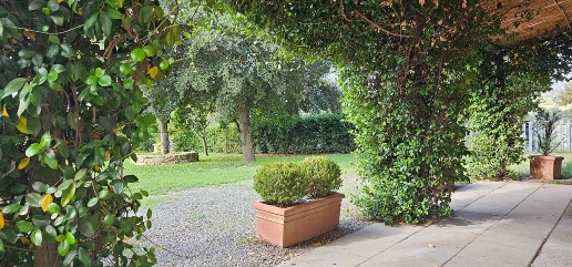 Foto Villa bifamiliare a Guardistallo di 210 m² con 10 locali in vendita