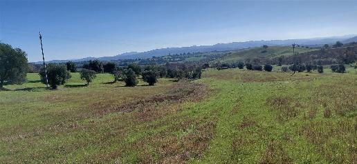 Foto Rustico a Scansano di 160 m² con 8 locali in vendita
