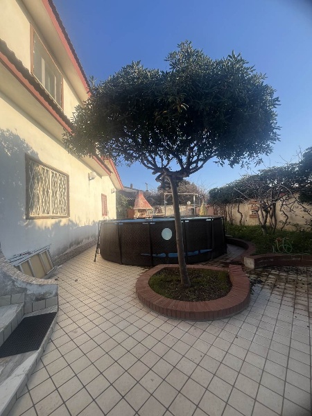 immagine annuncio 2 di 14