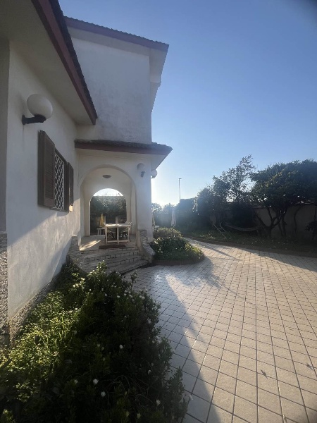 immagine annuncio 6 di 14