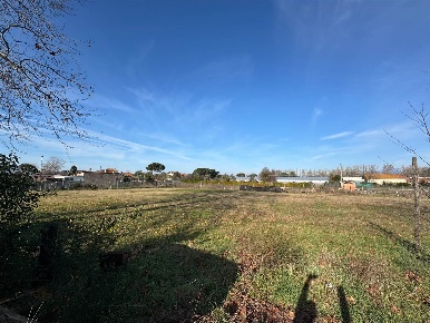 Foto Terreno agricolo a Viareggio Torre del Lago di 3300 m² in vendita