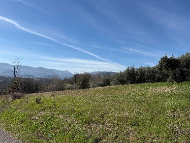 Foto Terreno agricolo in Via Colle Tronco, San Giovanni Incarico in vendita