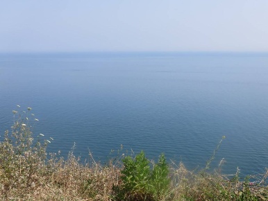 Foto Appartamento a Ancona di 135 m² con 5 locali in affitto