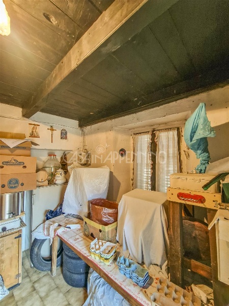 immagine annuncio 2 di 14