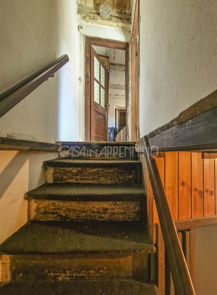 immagine annuncio 6 di 14