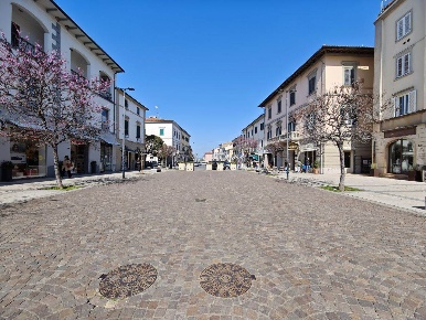 Foto Negozio a Cecina Cecina Centro di 43 m² con 1 locali in affitto