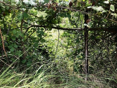 Foto Terreno agricolo a Salerno Casa Manzo - Giovi di 1000 m² in vendita