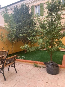 Foto Appartamento a Ancona di 60 m² con 2 locali in affitto