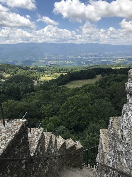 immagine annuncio 9 di 14