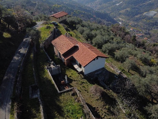 immagine annuncio 2 di 7