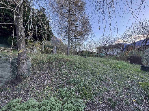 immagine annuncio 11 di 13