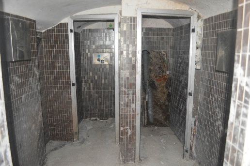 immagine annuncio 4 di 12