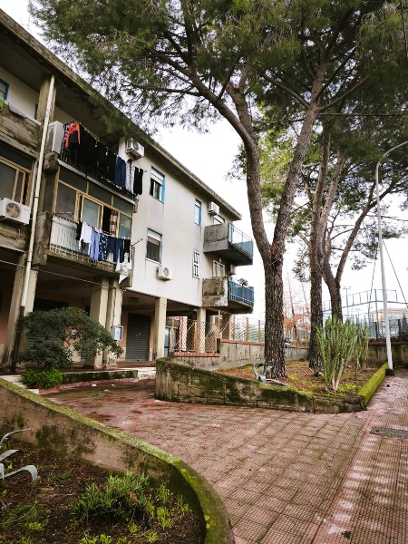 immagine annuncio 7 di 14