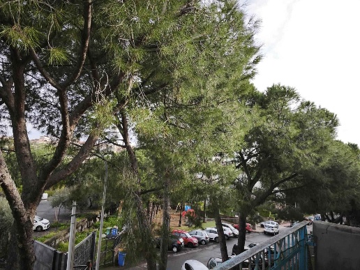 immagine annuncio 8 di 14