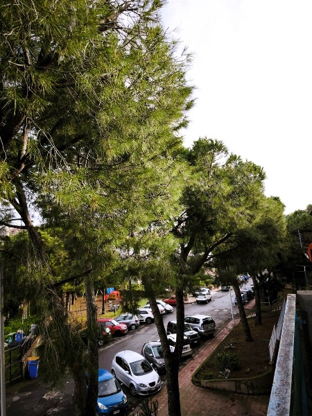 immagine annuncio 9 di 14