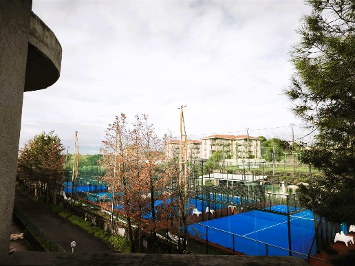 immagine annuncio 12 di 14