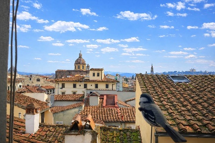 Foto Appartamento in via San Giovanni, Firenze San Frediano di 120 m²