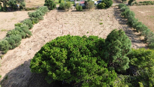 Foto Terreno edificabile in Via Isola 2, Siracusa Isola di 3800 m²